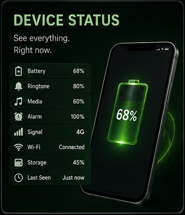 Vedetor device status visual